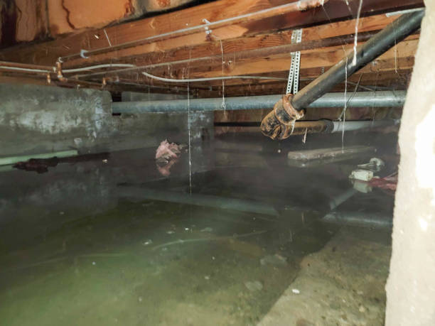 Best Sewage cleanup and water damage restoration  in Mililani Mauka, HI