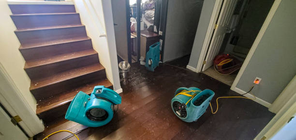 Best Basement water damage restoration  in Mililani Mauka, HI