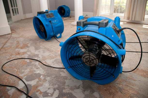 Best Carpet water damage restoration  in Mililani Mauka, HI