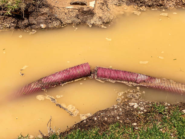 Carpet water damage restoration in HI